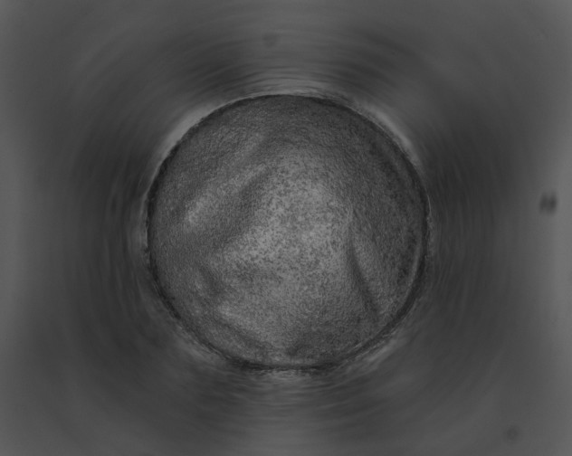 X0000091530883200708311308