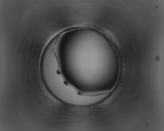 X0000091530884200708311308