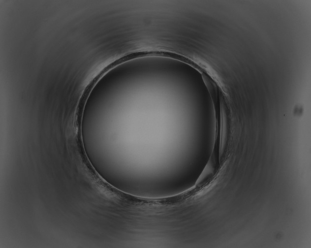 X0000091530885200708311308