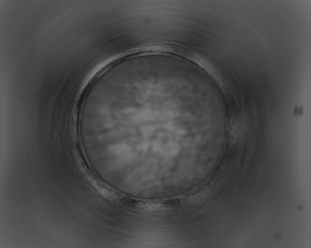 X0000091530886200708311308