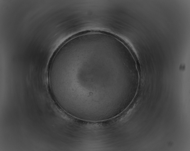 X0000091530887200708311308