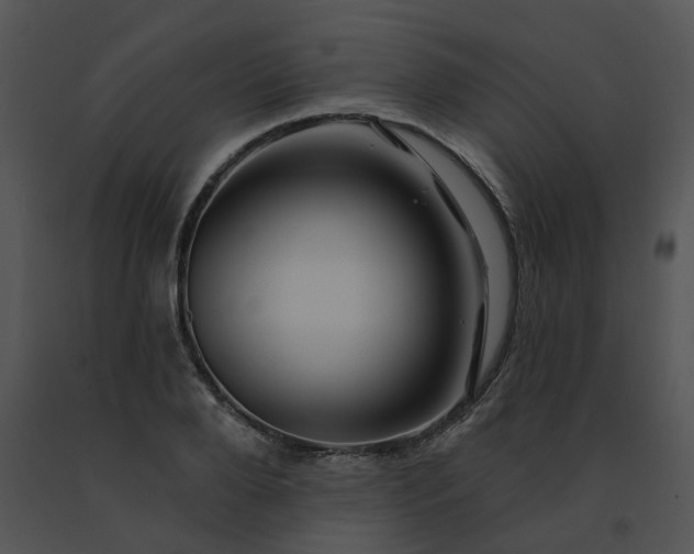 X0000091530888200708311308