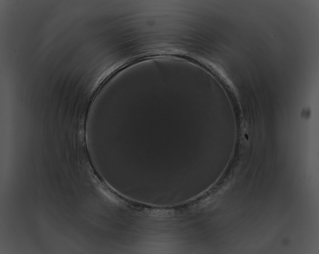 X0000091530889200708311308