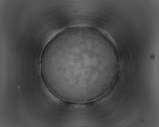 X0000091530890200708311308