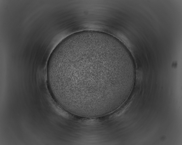 X0000091530891200708311308