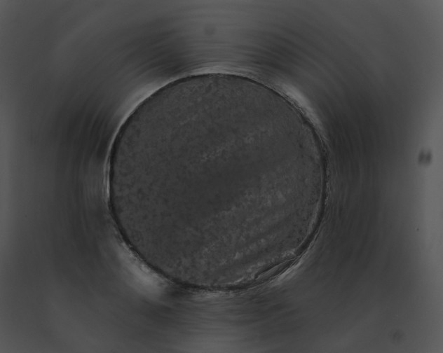X0000091530892200708311308