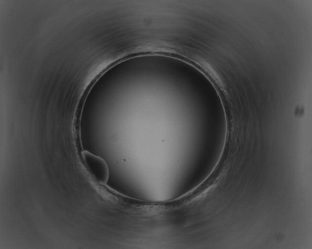 X0000091530893200708311308