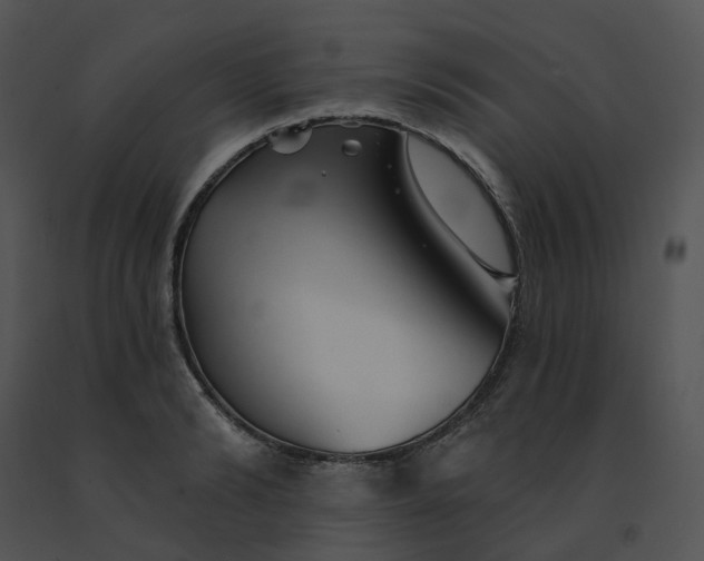 X0000091530894200708311308