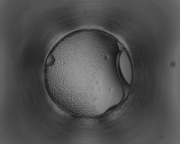 X0000091530895200708311308