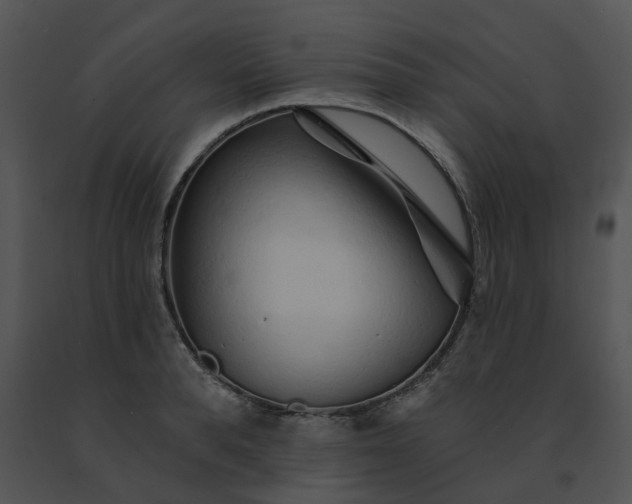 X0000091530896200708311308