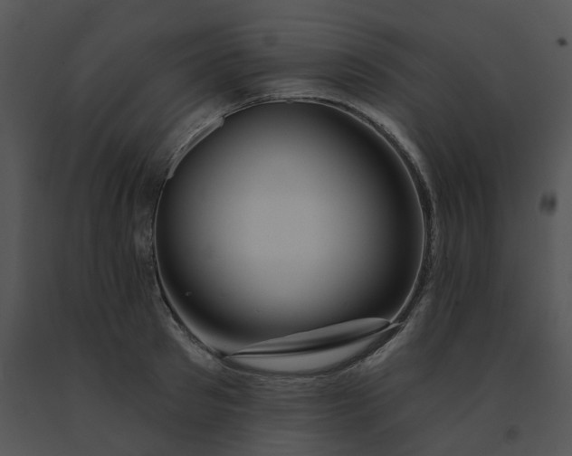 X0000091530897200708311308