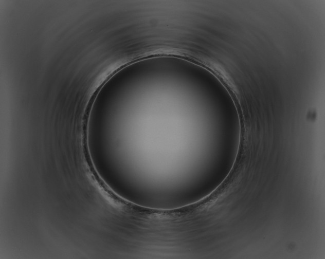 X0000091530898200708311308