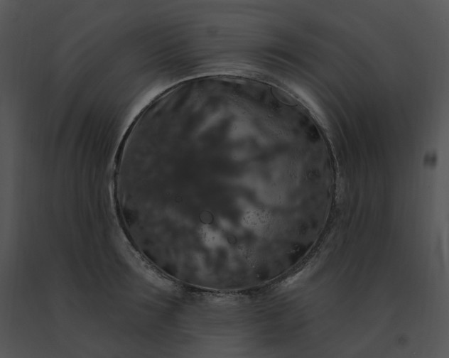 X0000091530899200708311308