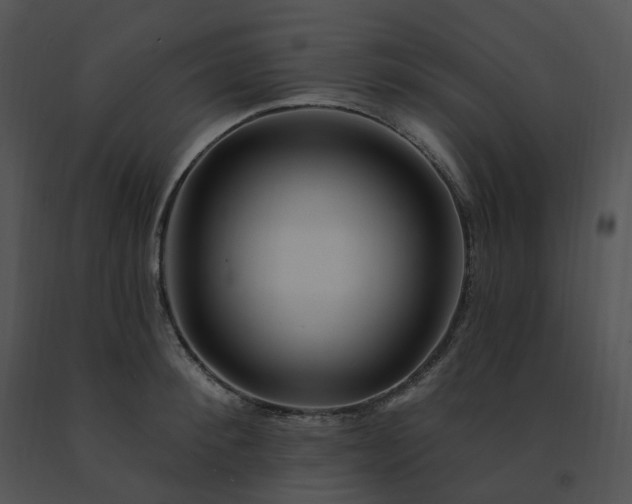 X0000091530900200708311308
