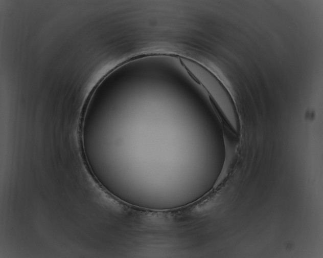 X0000091530901200708311308