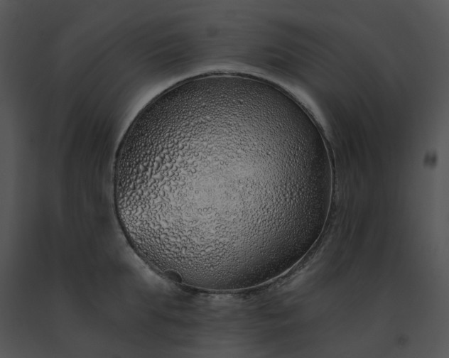 X0000091530903200708311308