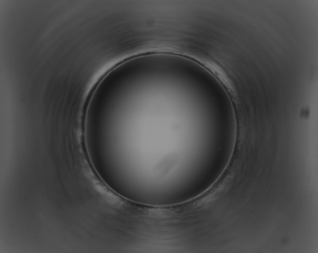 X0000091530904200708311308