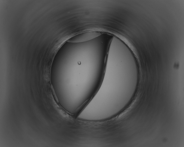 X0000091530905200708311308