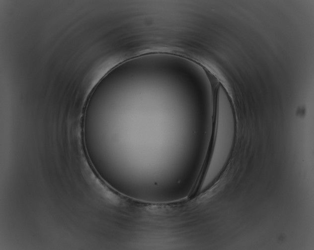 X0000091530906200708311308