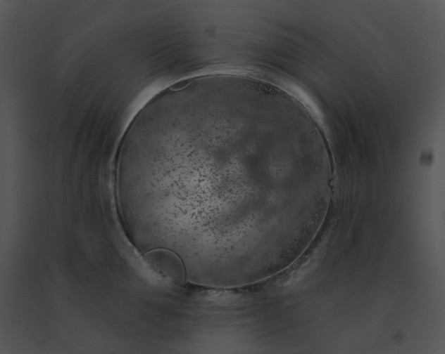X0000091530907200708311308