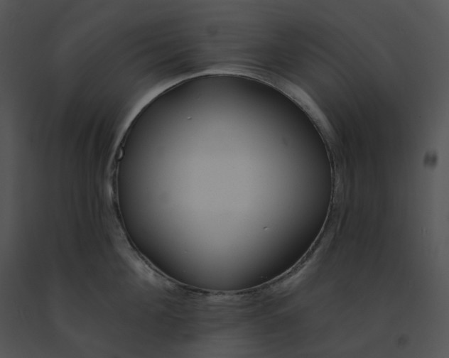X0000091530908200708311308