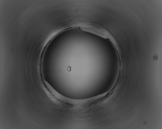X0000091530909200708311308