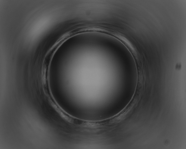 X0000091530910200708311308