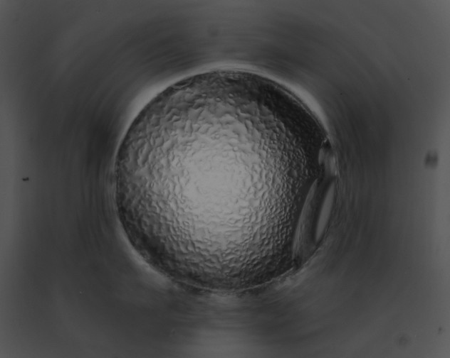 X0000091530911200708311308