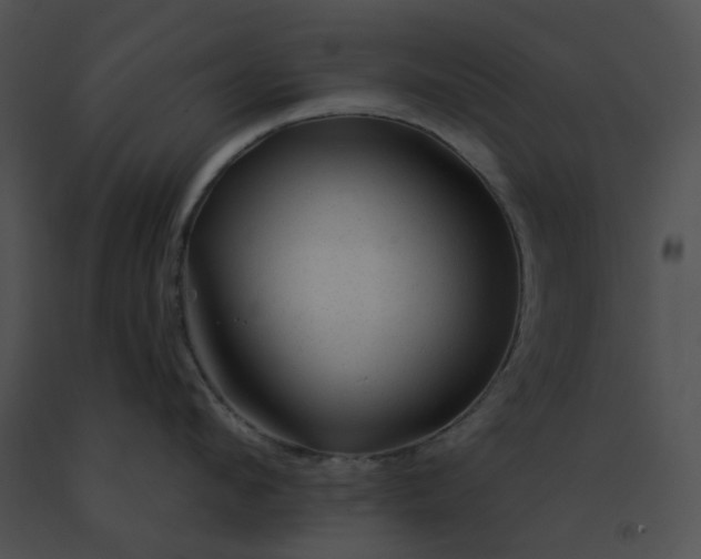 X0000091530912200708311308