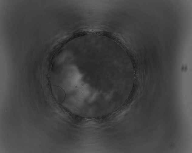 X0000091530913200708311307