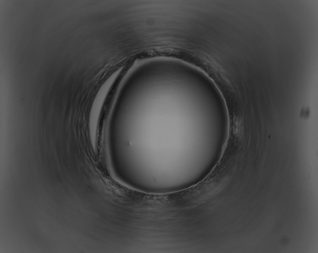 X0000091530915200708311307
