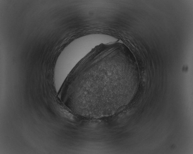 X0000091530916200708311307