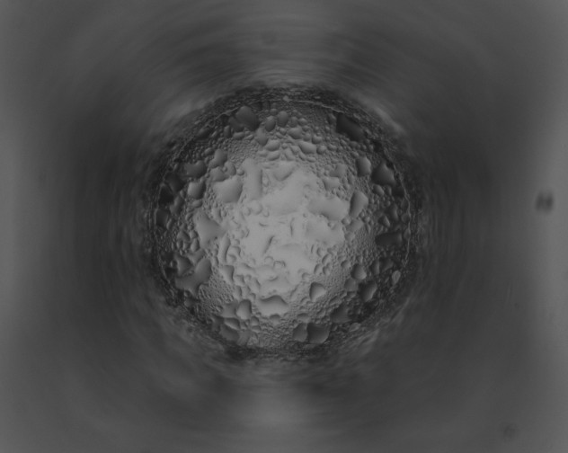 X0000091530917200708311307