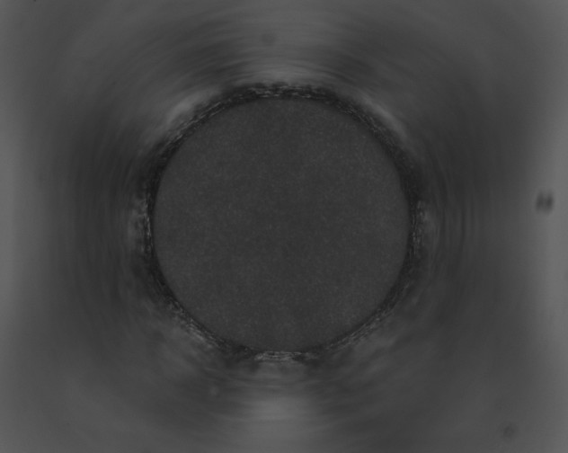 X0000091530918200708311307
