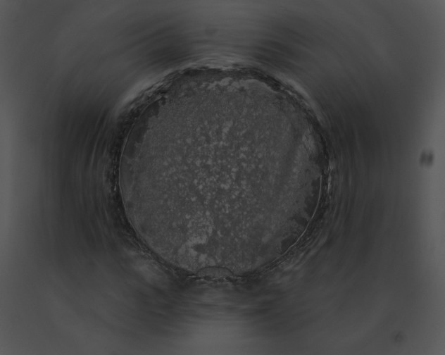 X0000091530919200708311307