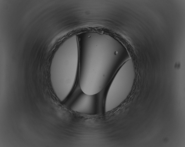 X0000091530920200708311307