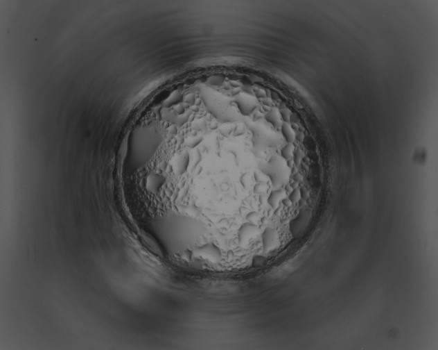 X0000091530921200708311307
