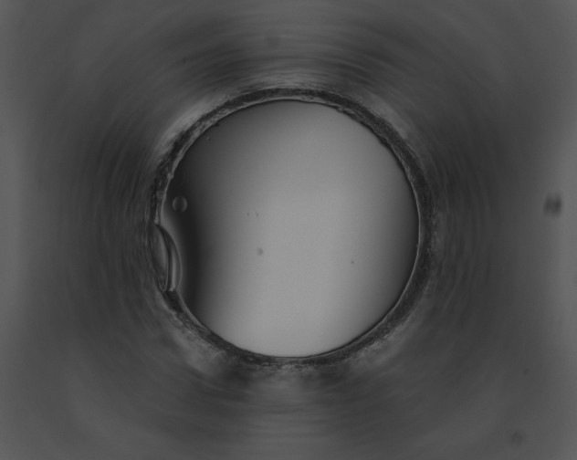 X0000091530922200708311307