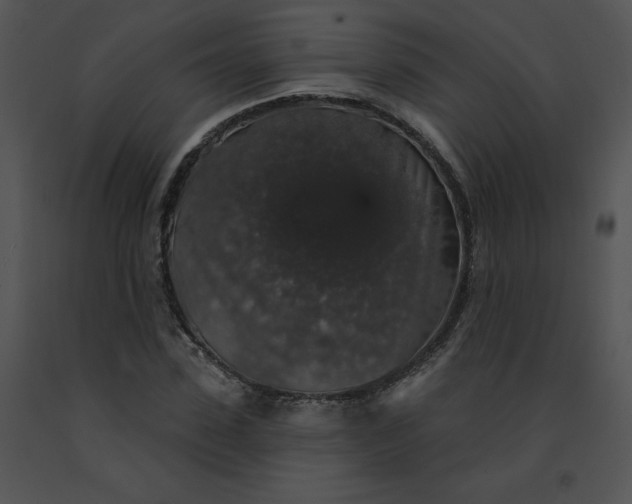 X0000091530923200708311307
