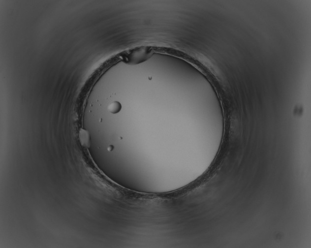 X0000091530926200708311307