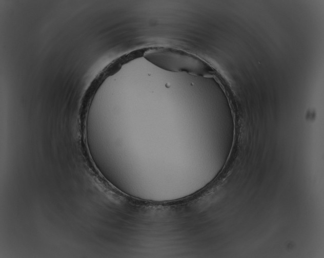 X0000091530927200708311307