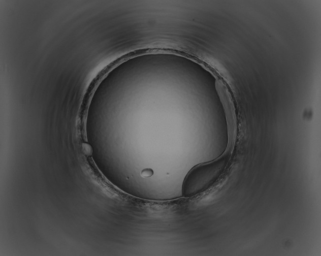 X0000091530928200708311307
