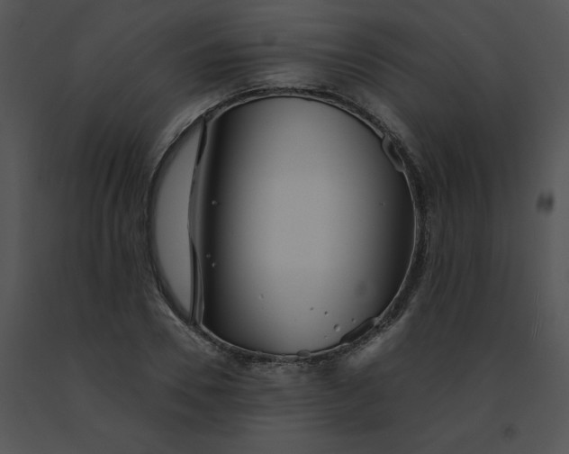 X0000091530930200708311307