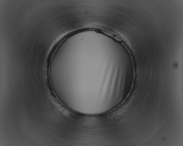 X0000091530931200708311307