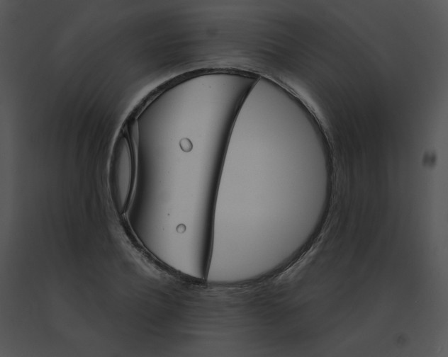 X0000091530932200708311307