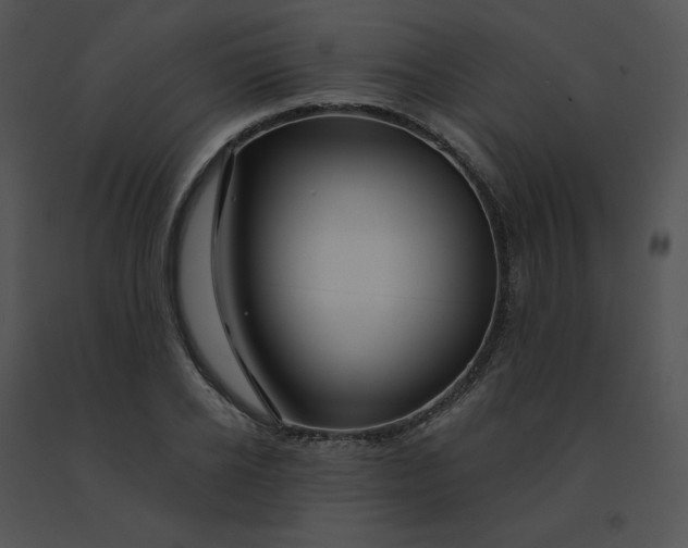 X0000091530934200708311307
