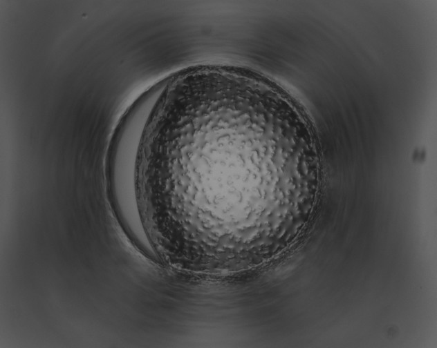 X0000091530935200708311307