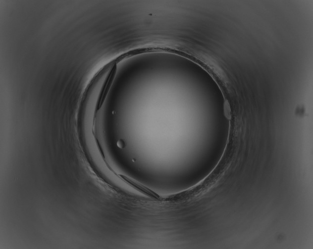 X0000091530936200708311307