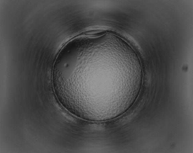 X0000091530937200708311308