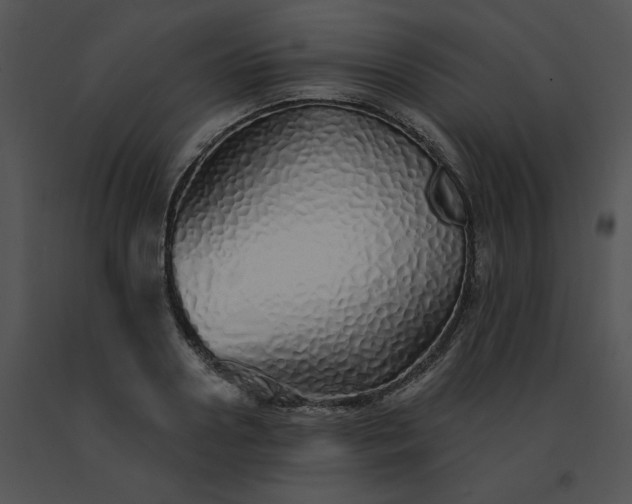 X0000091530938200708311308